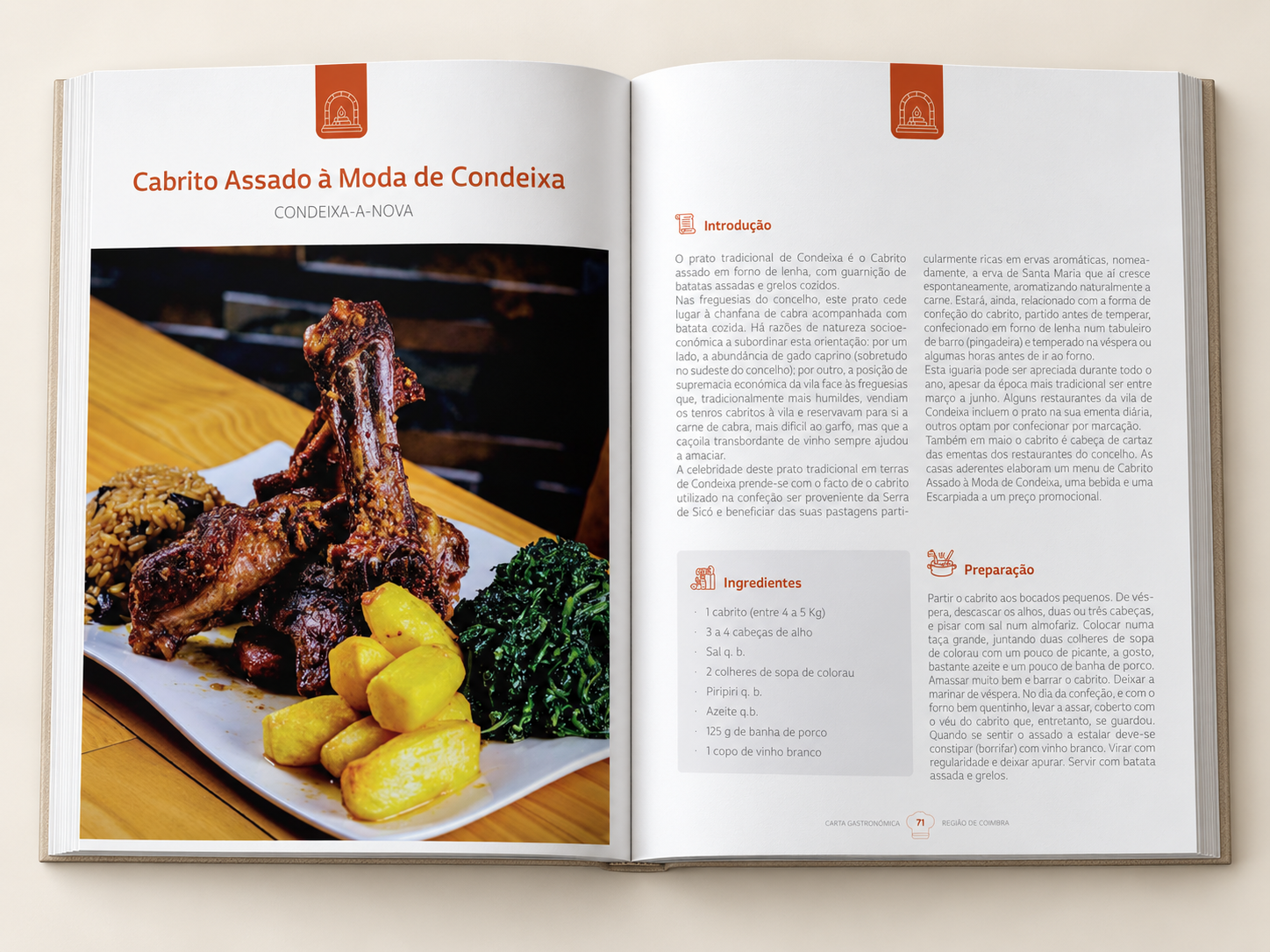Open Portuguese editorial book spread (1)